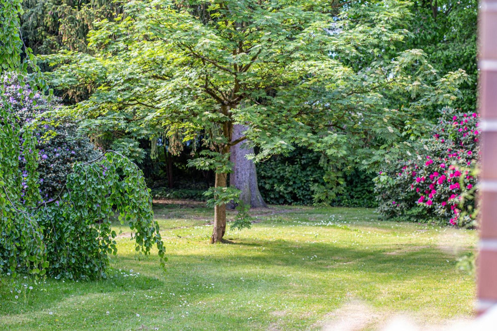 Have-A-Nice-Stay - Nahe Bahnhof Ahrensburg - 20 Minuten Nach Hamburg - Trotzdem Ruhig Gelegen - 6 Minuten Zu Fuss Ins Zentrum Ahrensburg - Modern Eingerichtet Dış mekan fotoğraf